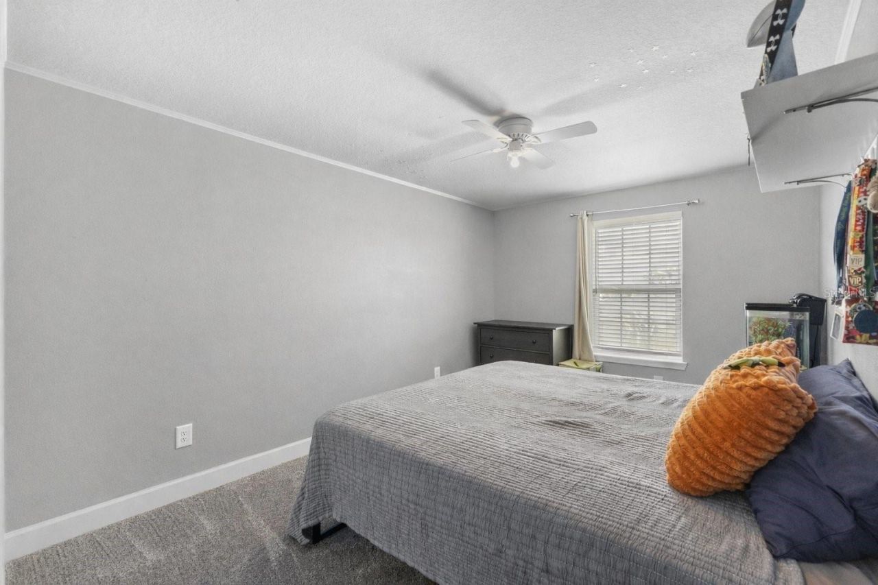 8523 Rain Lily Crossing , Parrish, FL 34219 Photo