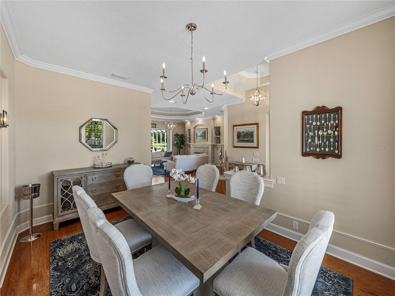 33627 Americana Avenue, Dade City, FL 33525 Photo