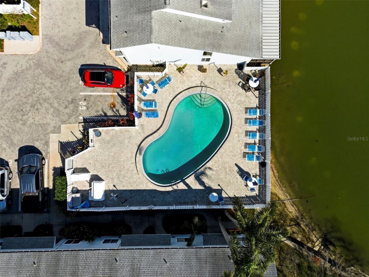 500 New York Avenue, Unit 34, Dunedin, FL 34698 Photo