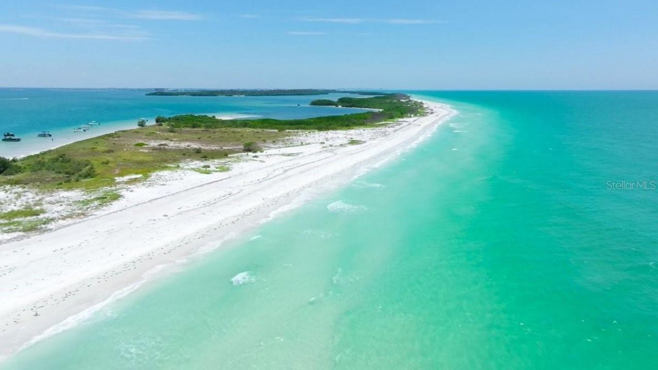 500 New York Avenue, Unit 34, Dunedin, FL 34698 Photo