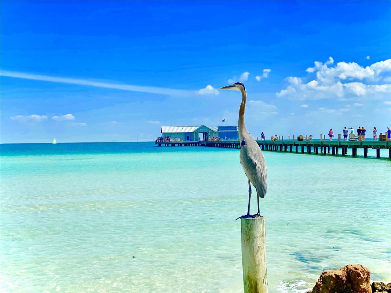 1520 91st Court Nw, Bradenton, FL 34209 Photo