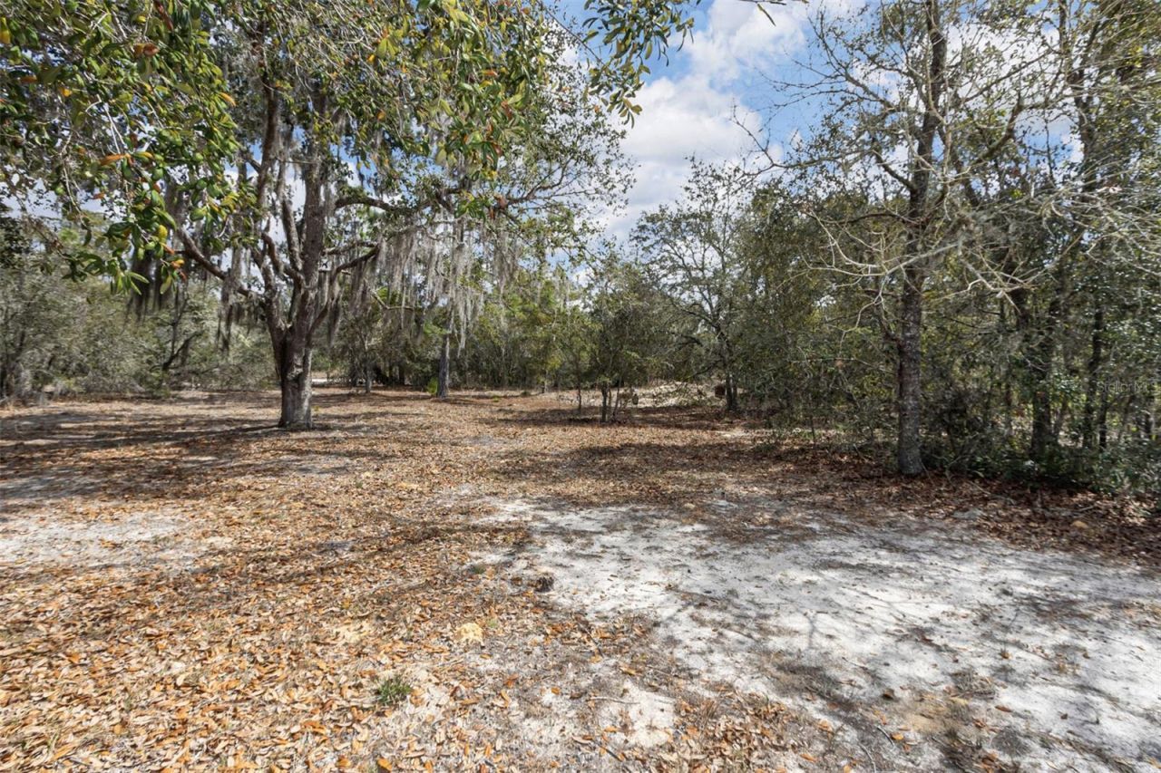 4963 SW Hyacinth Court , Dunnellon, FL 34431 Photo