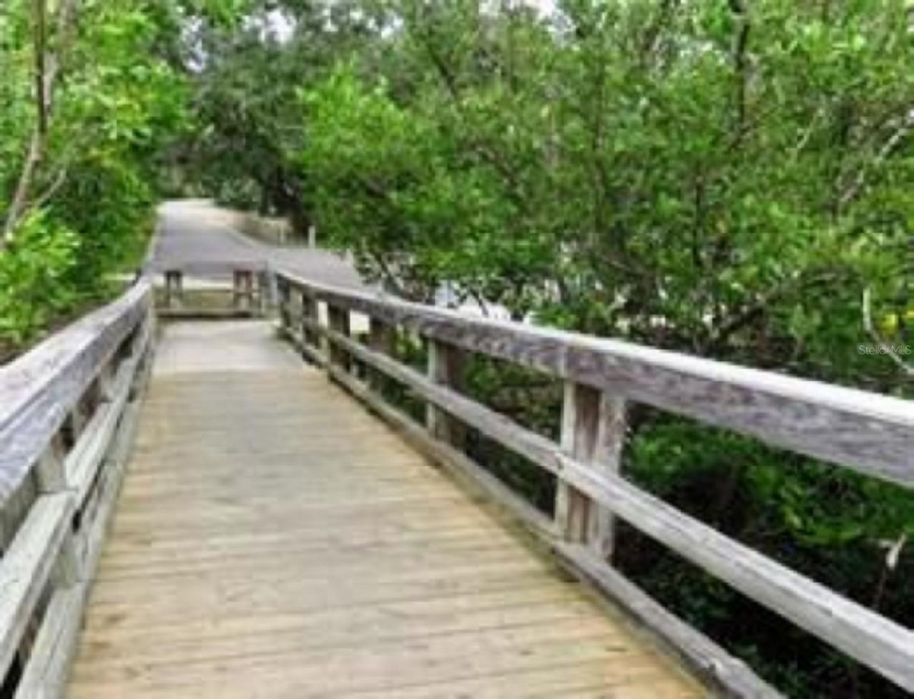 438 Lafayette Boulevard , Oldsmar, FL 34677 Photo