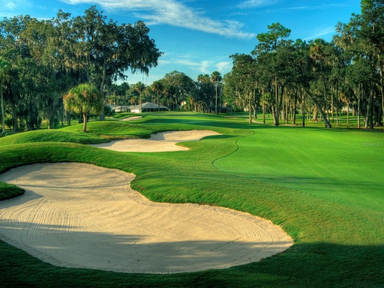 438 Lafayette Boulevard , Oldsmar, FL 34677 Photo