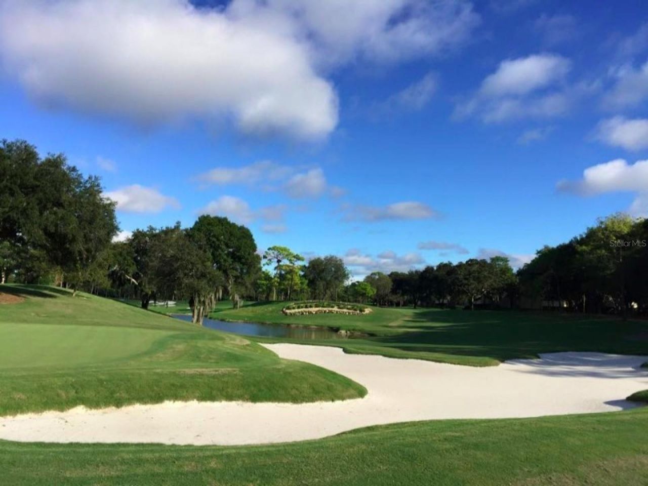 438 Lafayette Boulevard , Oldsmar, FL 34677 Photo