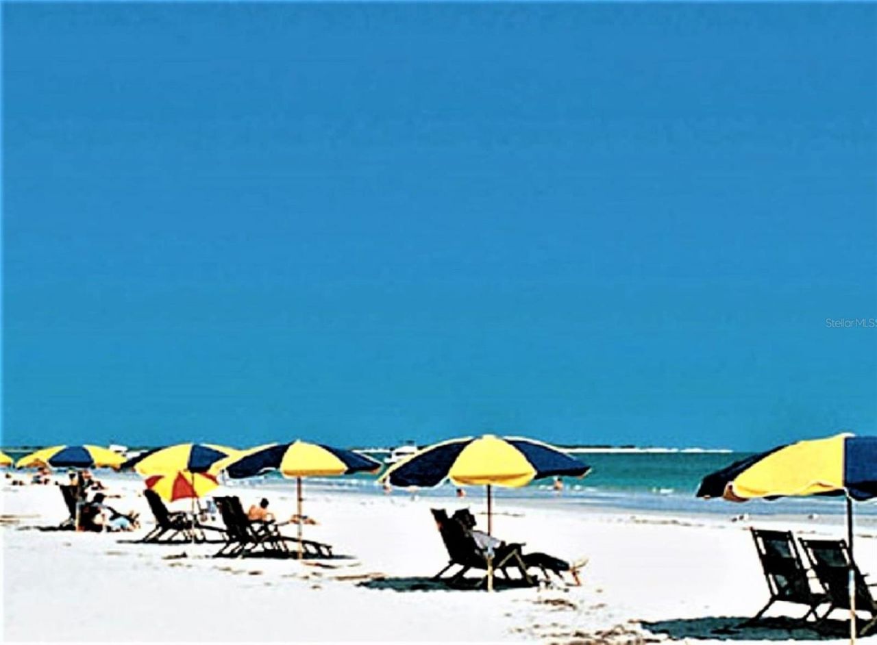 438 Lafayette Boulevard , Oldsmar, FL 34677 Photo