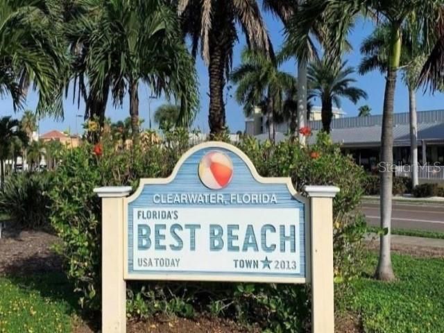 438 Lafayette Boulevard , Oldsmar, FL 34677 Photo