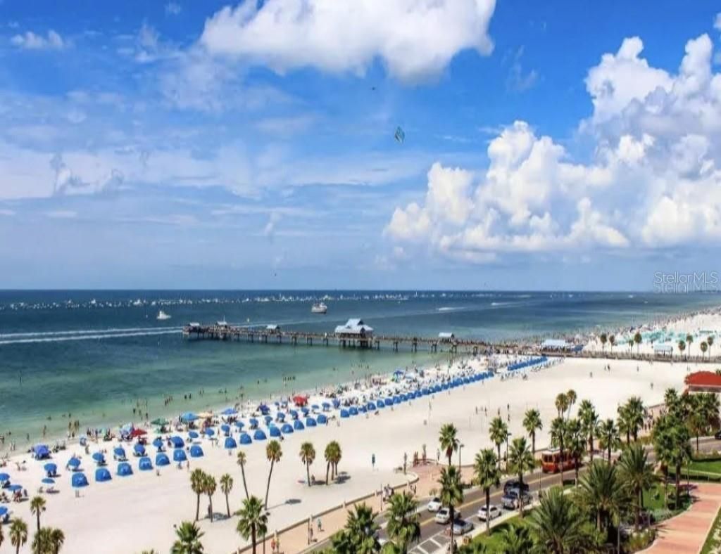 438 Lafayette Boulevard , Oldsmar, FL 34677 Photo