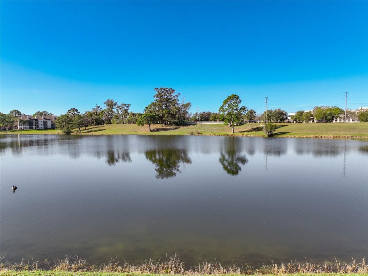 176 Heron Bay Circle , Lake Mary, FL 32746 Photo