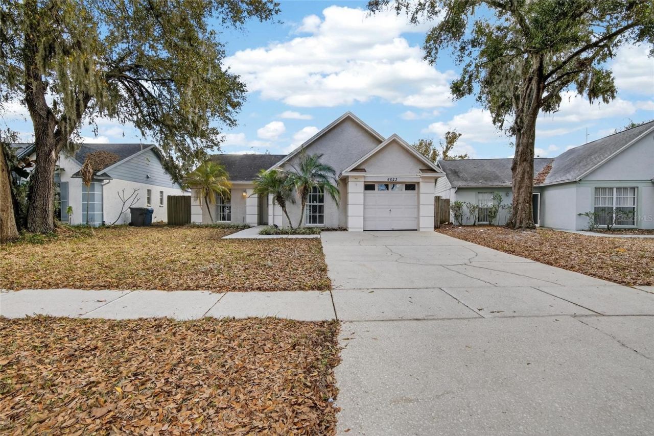 4623 Cabbage Palm Drive, Valrico, FL 33596 Main Photo