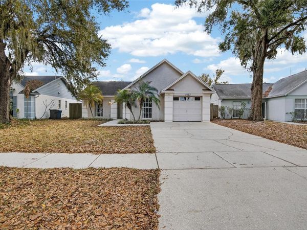 4623 CABBAGE PALM DRIVE , VALRICO, FL 33596