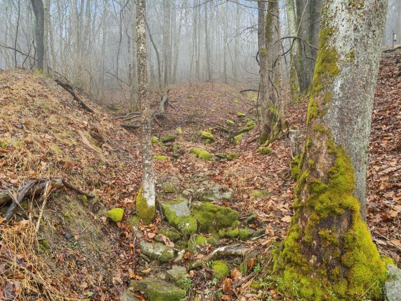 500 Maple Creek Road, Washington Township, OH 45153 Photo 42