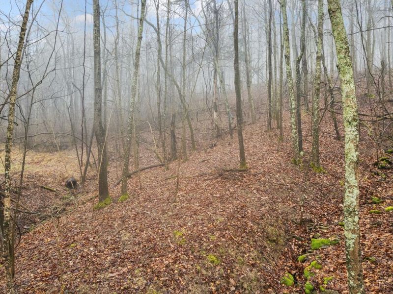 500 Maple Creek Road, Washington Township, OH 45153 Photo 43