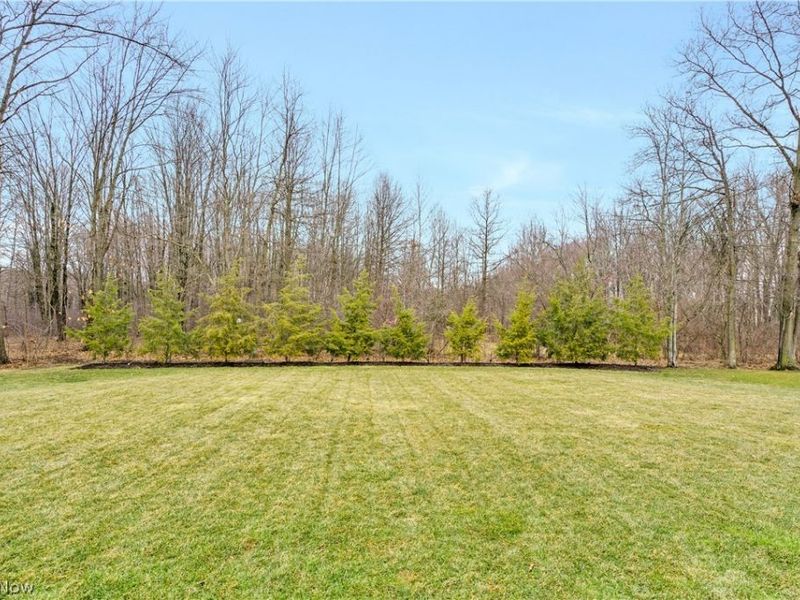 6438 Calvary Court, Youngstown, OH 44515 Photo 28