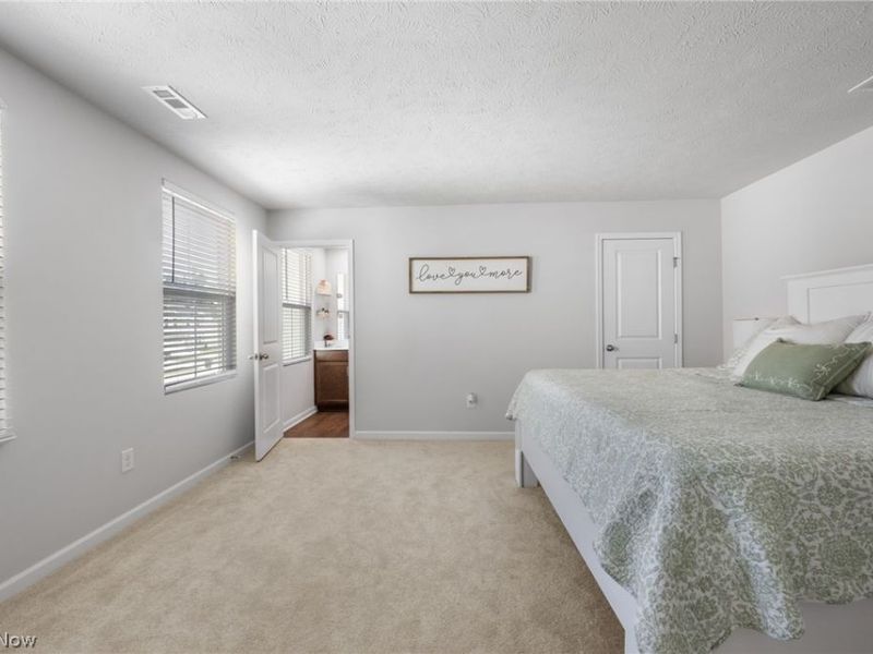 238 Leather Leaf Drive, Elyria, OH 44035 Photo 11