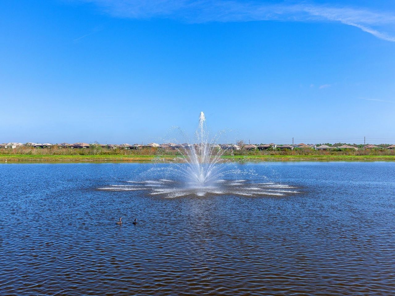 8191 Redonda Loop, Lakewood Ranch, FL 34202 Photo