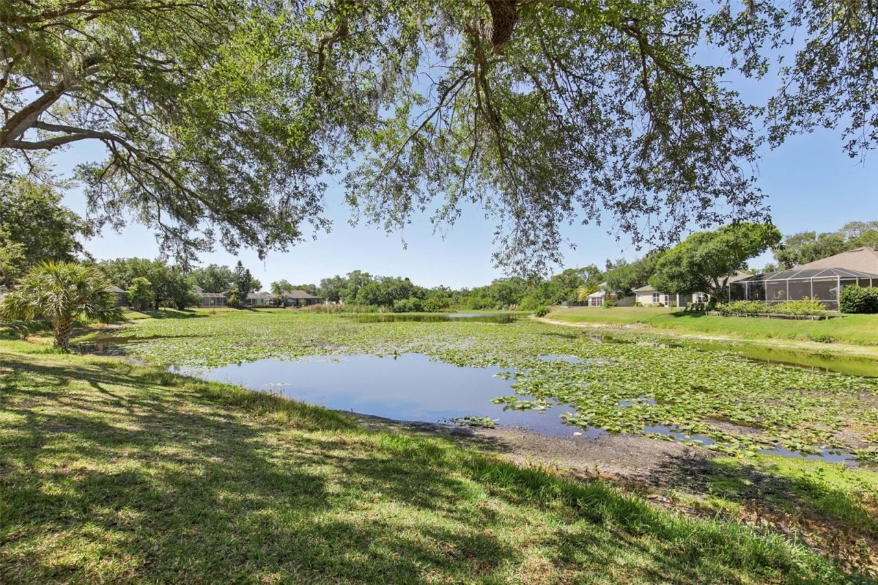 742 Shorecrest Drive, Sarasota, FL 34232 Photo