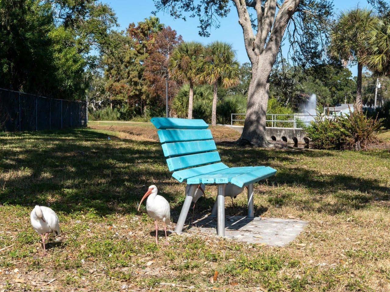 6251 10th Avenue S, Gulfport, FL 33707 Photo