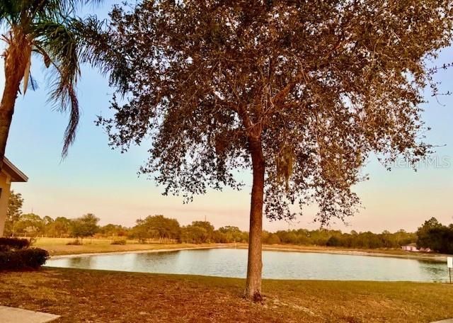 2281 Royal Ridge Drive , Davenport, FL 33896 Photo