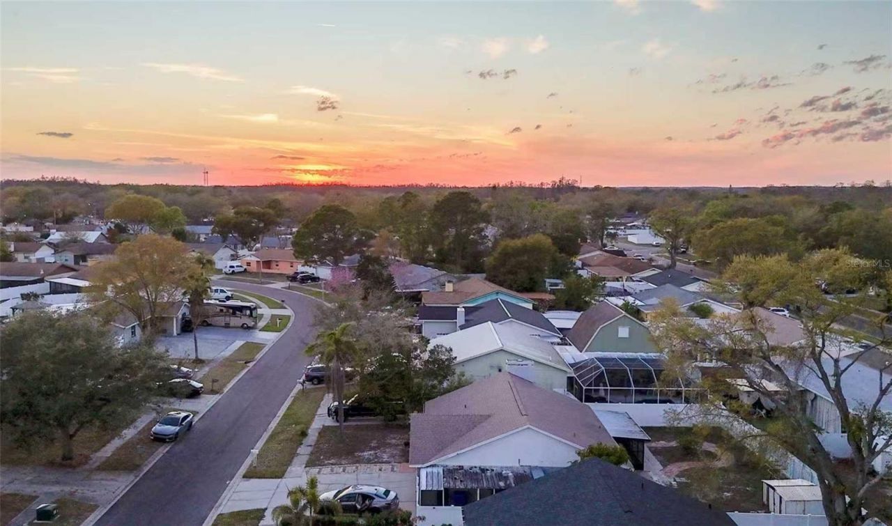 10922 Tailfeather Court, Tampa, FL 33625 Photo