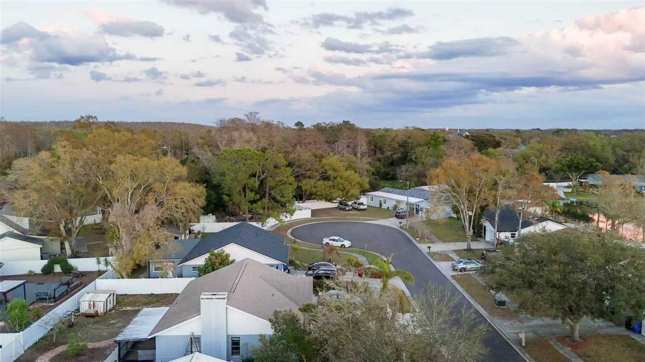 10922 Tailfeather Court, Tampa, FL 33625 Photo