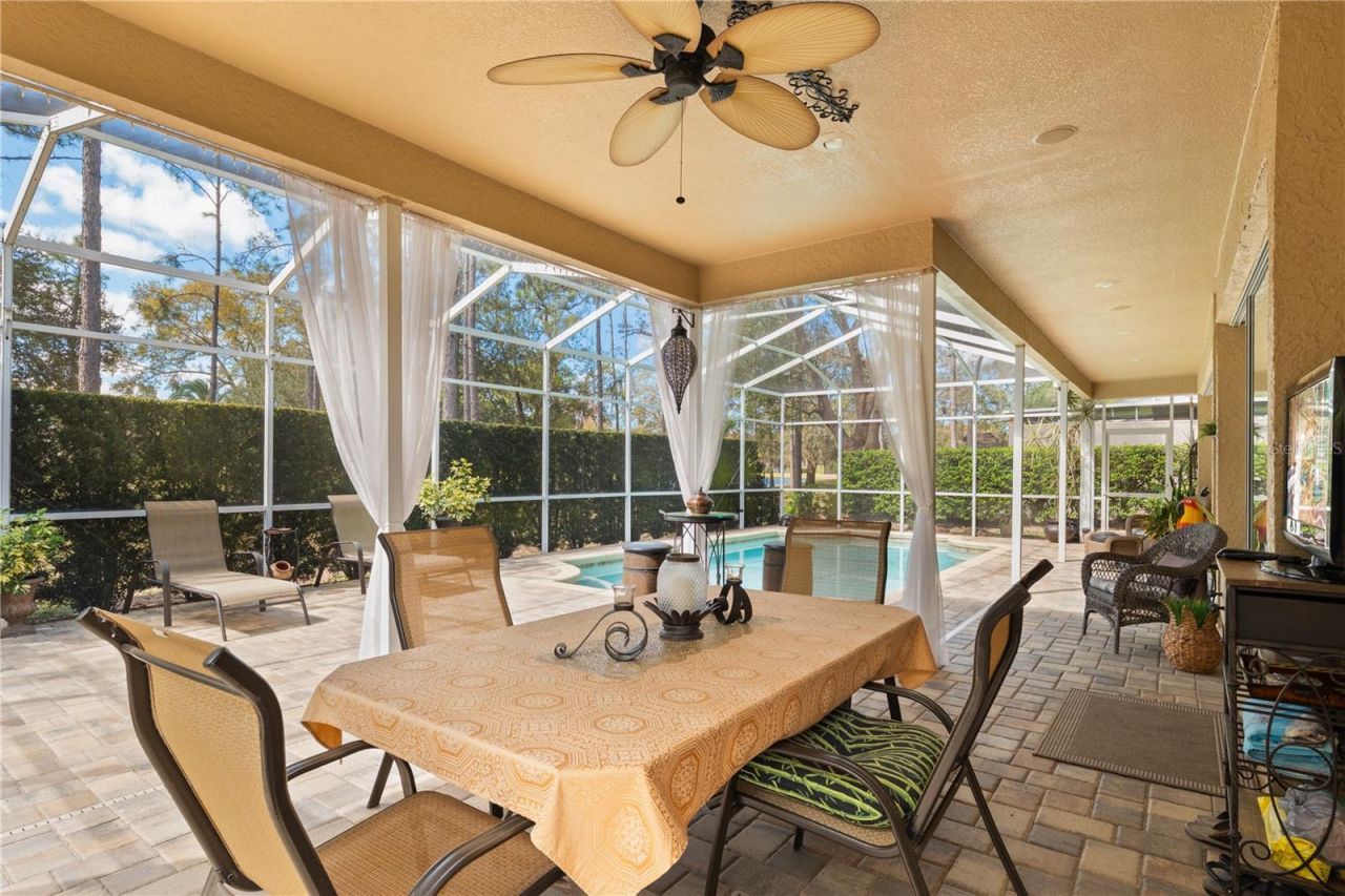 4202 Rotherham Court, Palm Harbor, FL 34685 Photo