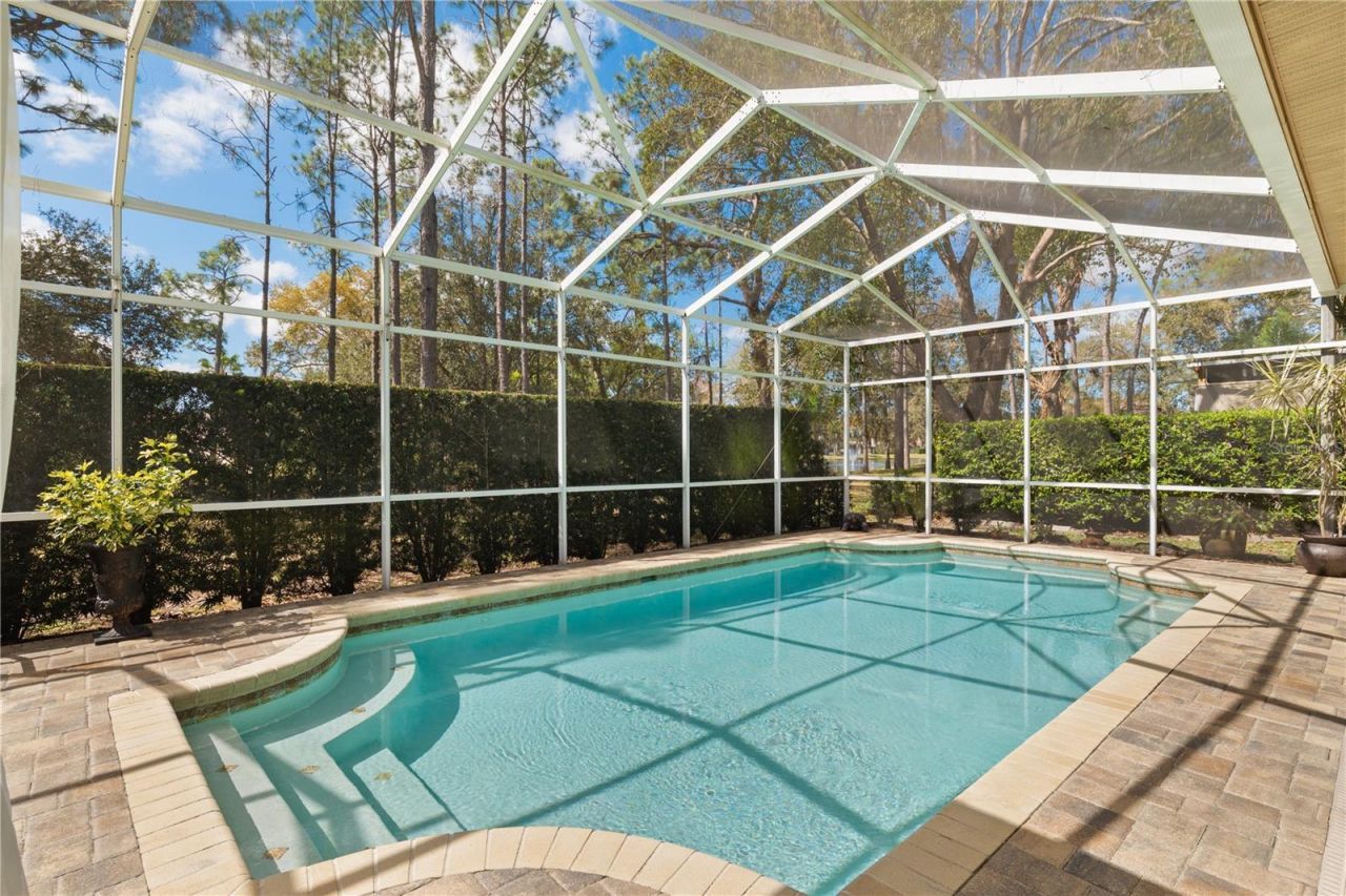 4202 Rotherham Court, Palm Harbor, FL 34685 Photo