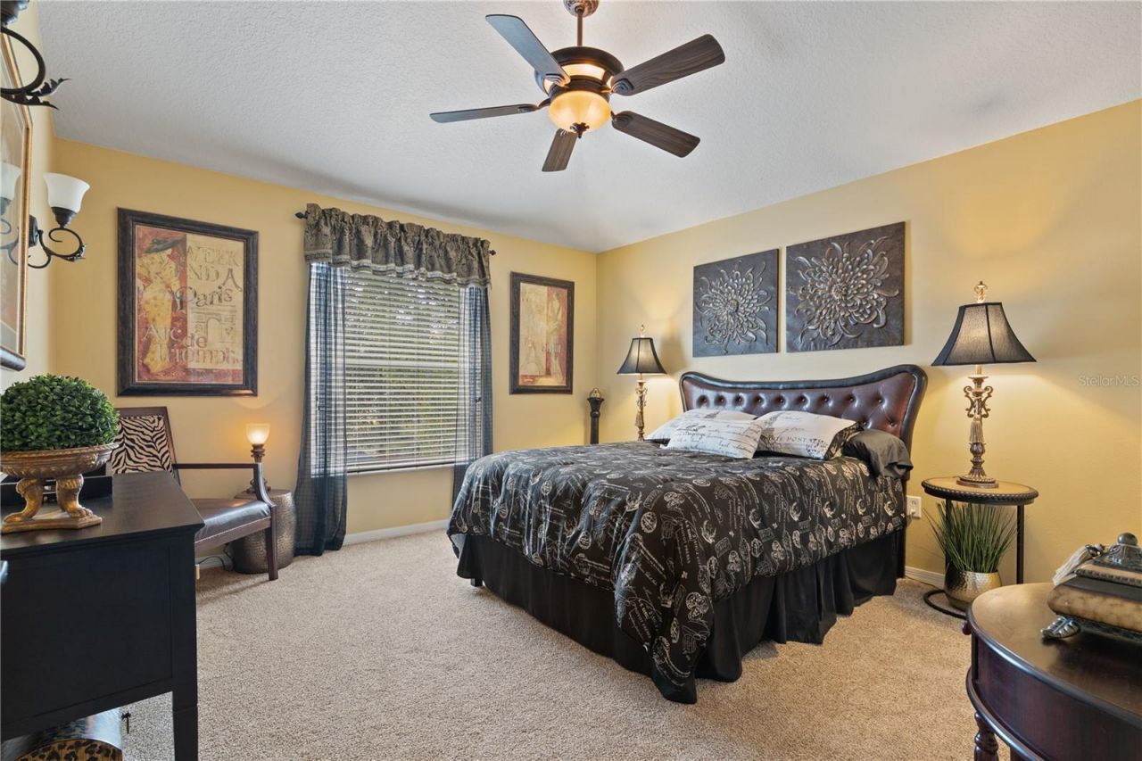 4202 Rotherham Court, Palm Harbor, FL 34685 Photo