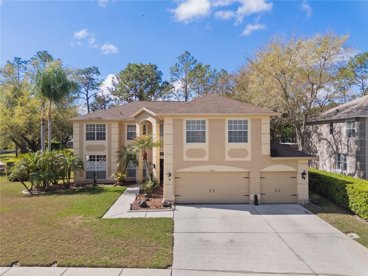 4202 Rotherham Court, Palm Harbor, FL 34685 Photo