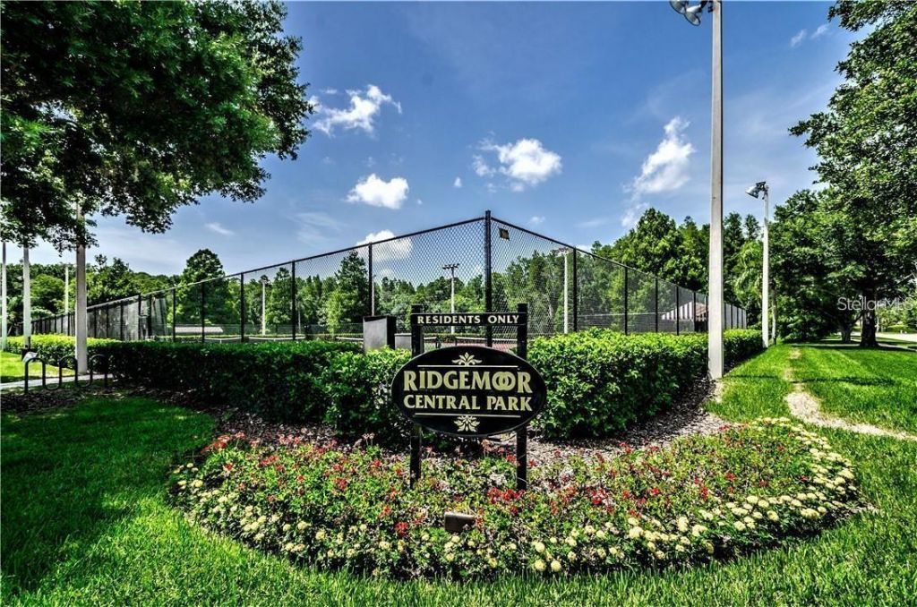 4202 Rotherham Court, Palm Harbor, FL 34685 Photo