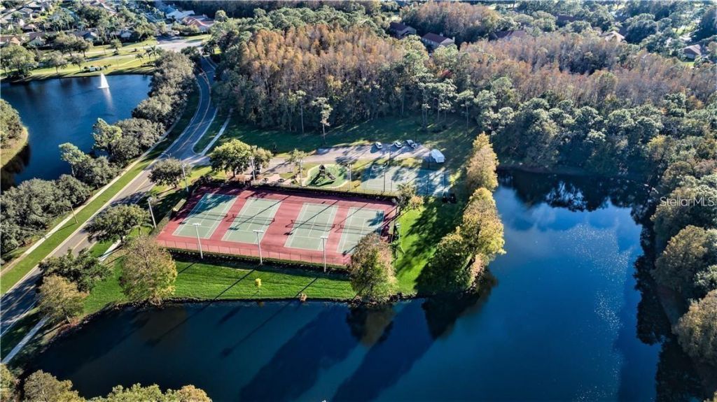 4202 Rotherham Court, Palm Harbor, FL 34685 Photo