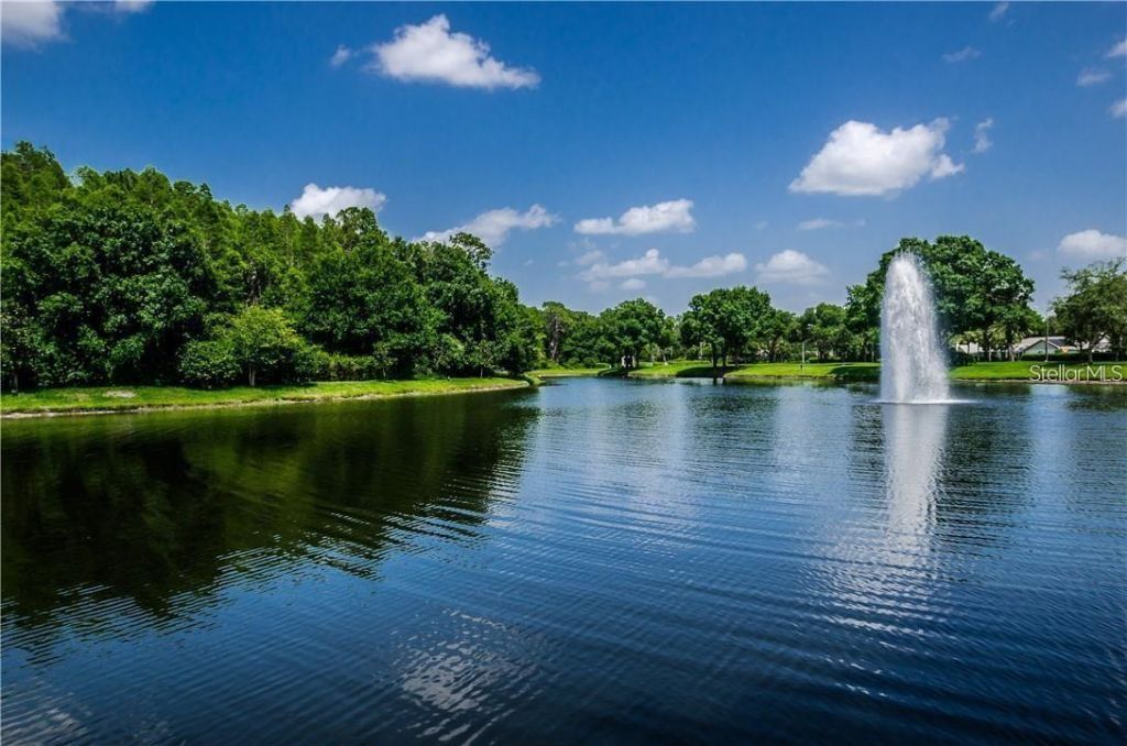 4202 Rotherham Court, Palm Harbor, FL 34685 Photo