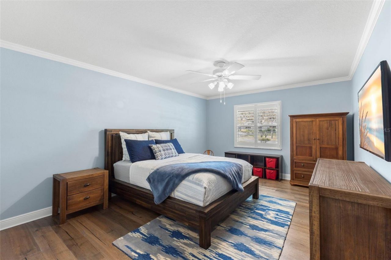 11 Birdie Lane, Palm Harbor, FL 34683 Photo