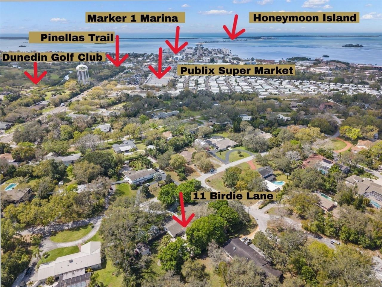 11 Birdie Lane, Palm Harbor, FL 34683 Photo