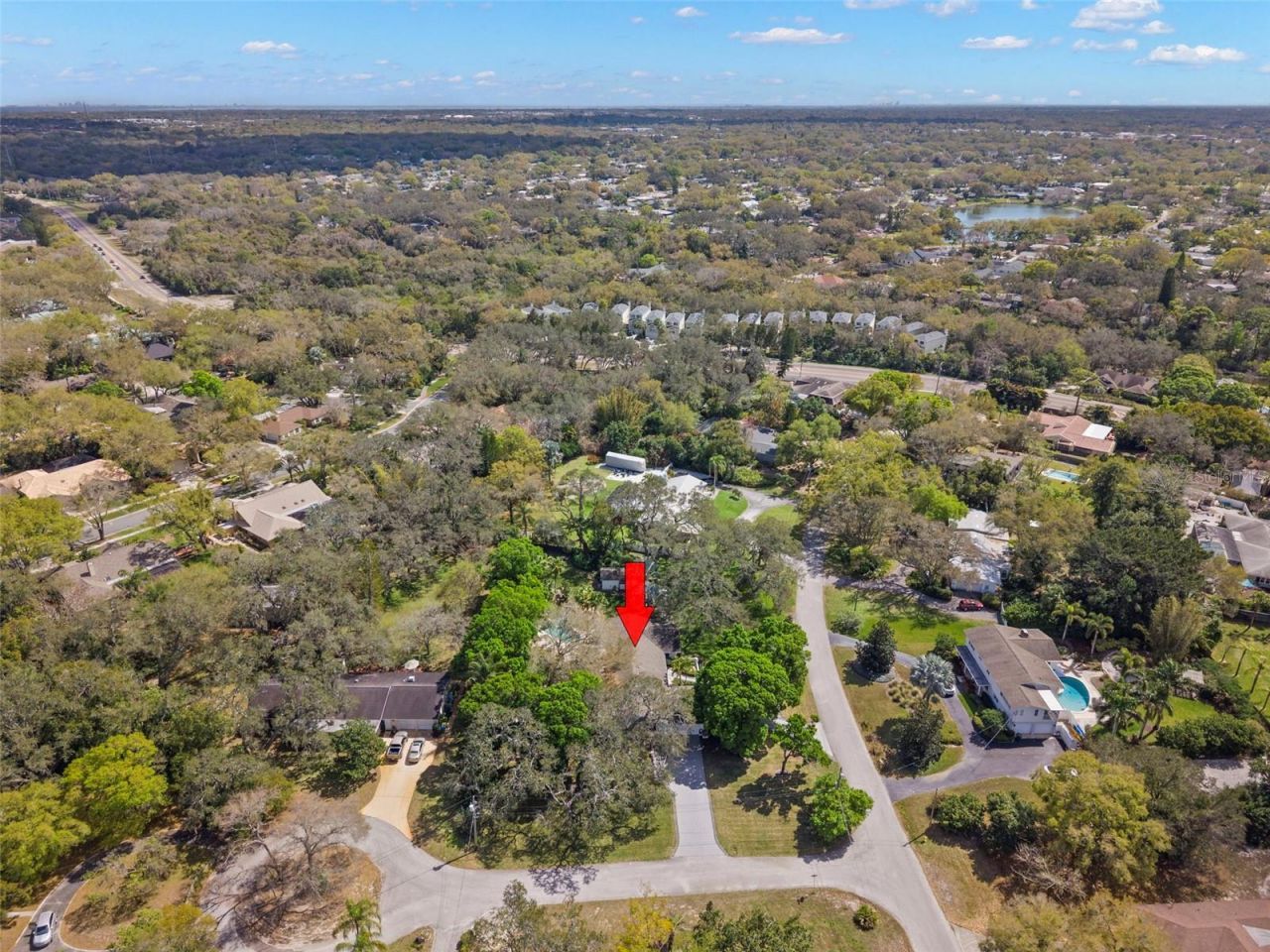 11 Birdie Lane, Palm Harbor, FL 34683 Photo