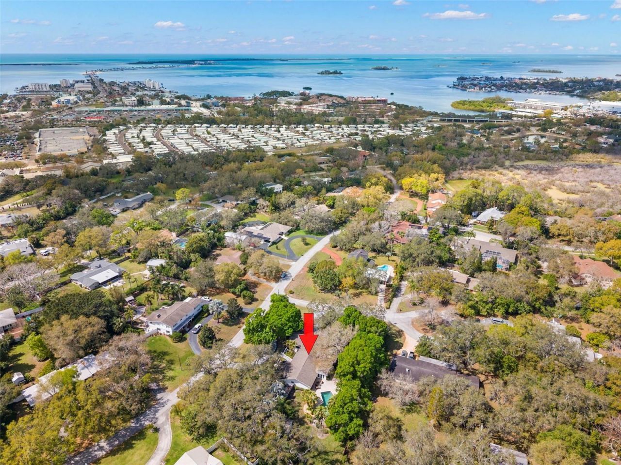 11 Birdie Lane, Palm Harbor, FL 34683 Photo