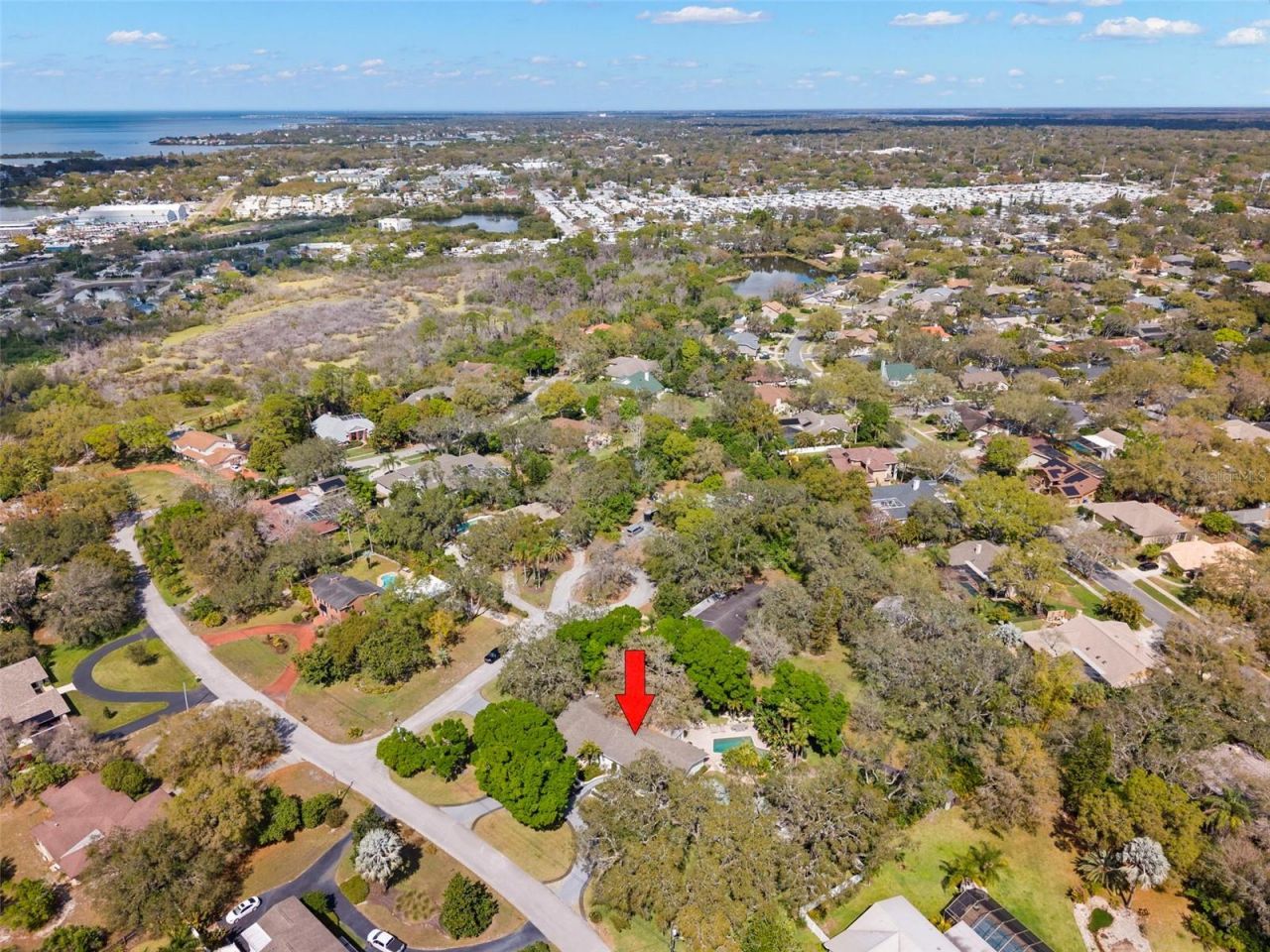 11 Birdie Lane, Palm Harbor, FL 34683 Photo