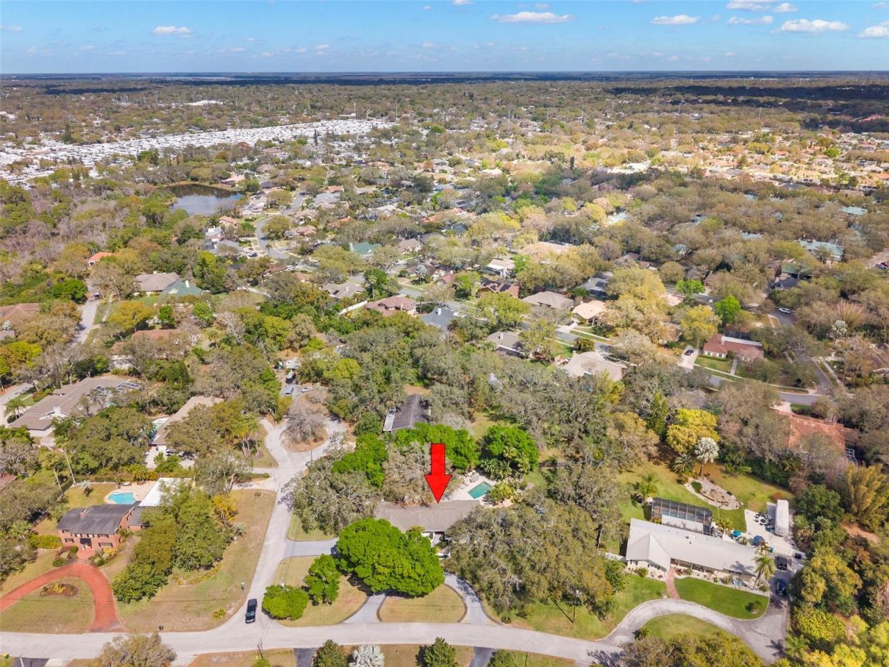 11 Birdie Lane, Palm Harbor, FL 34683 Photo