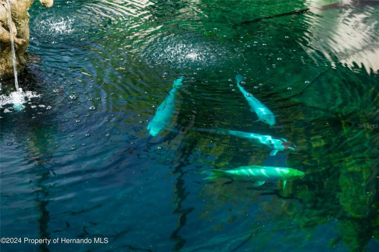 11915 W Riverhaven Drive, Homosassa, FL 34448 Photo