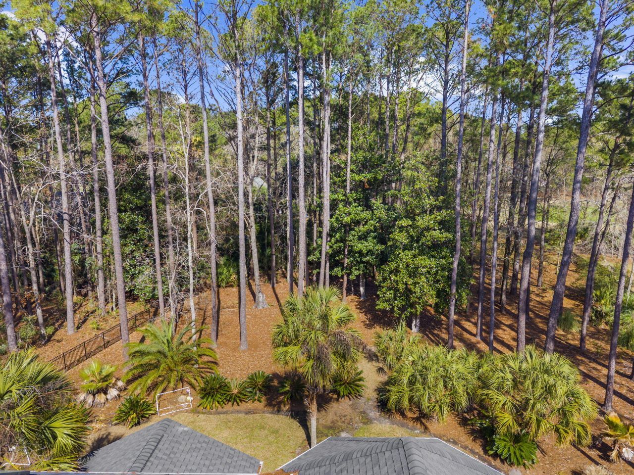 1779 Shell Ring Circle Photo 74