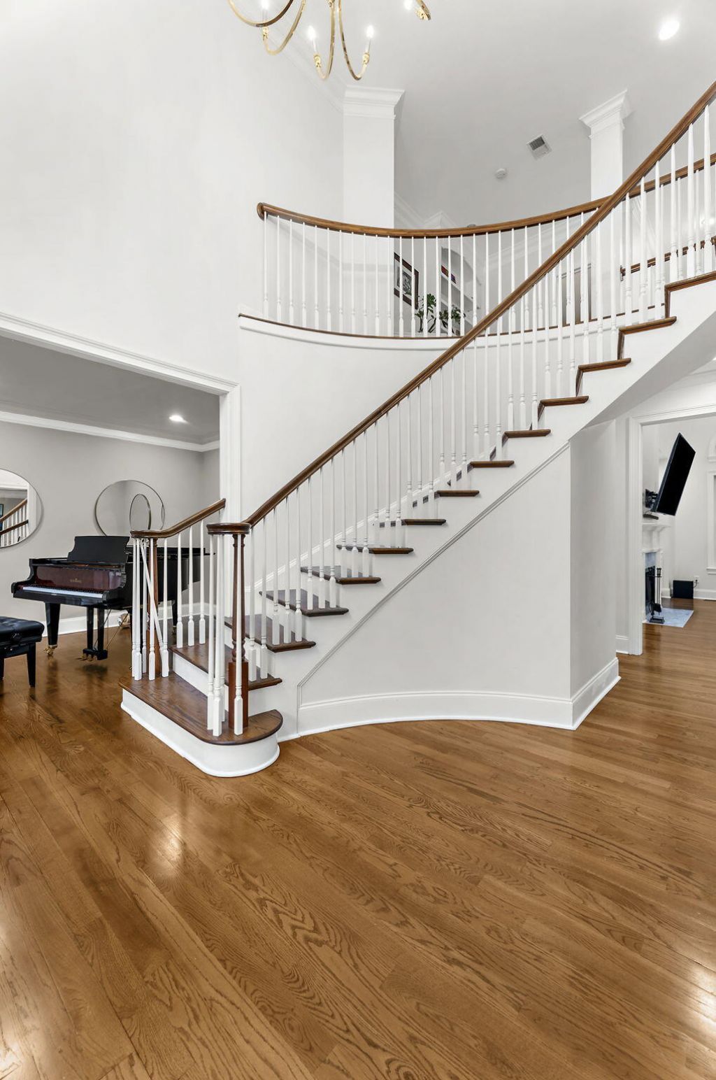 1779 Shell Ring Circle Photo 8