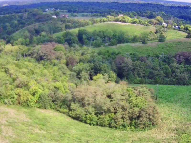 Tract 1 Delaney Road, Corinth, KY 41010 Photo 1