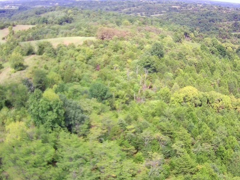 Tract 1 Delaney Road, Corinth, KY 41010 Photo 3