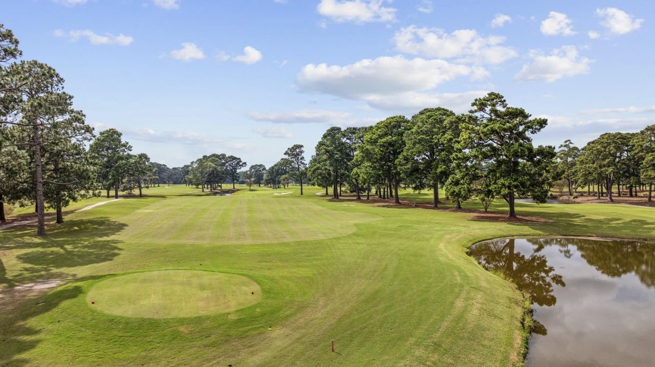 4869 Luster Leaf Circle Photo 8