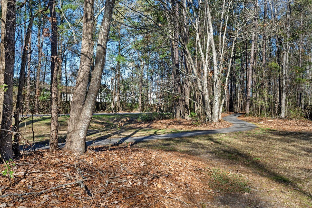 153 Hickory Trace Drive Photo 8