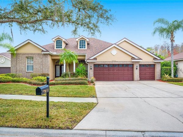 17710 CURRIE FORD DRIVE, LUTZ, FL 33558