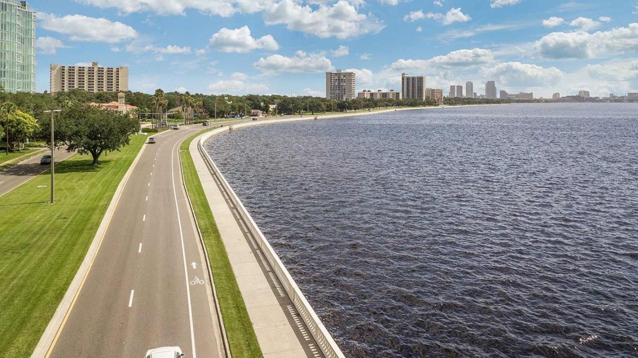 6605 N Nebraska Avenue, Unit 4, Tampa, FL 33604 Photo
