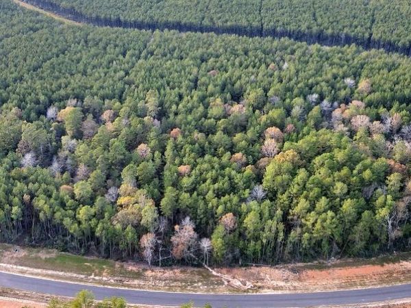 15884 Ridge Oak, WILLIS, TX 77378