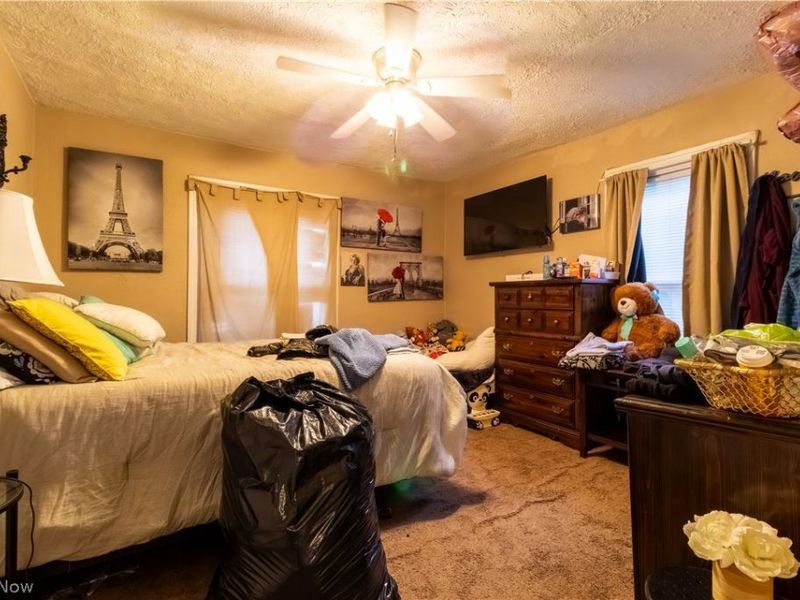 4089 Lincoln Avenue, Shadyside, OH 43947 Photo 13