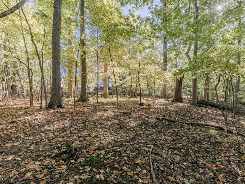 1567 S Belvoir Boulevard, South Euclid, OH 44121 Photo 26